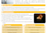 create modern powerpoint slides and posters